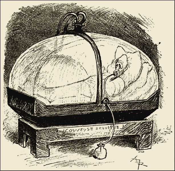 Illustration