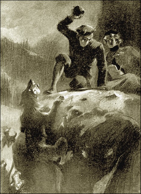Illustration