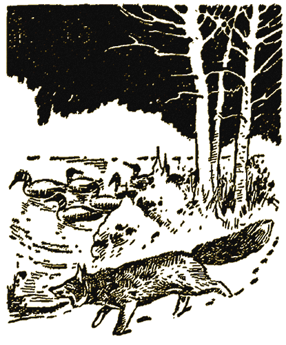 Illustration