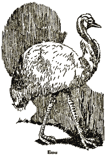 Illustration