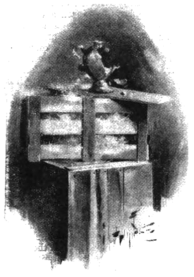 Illustration