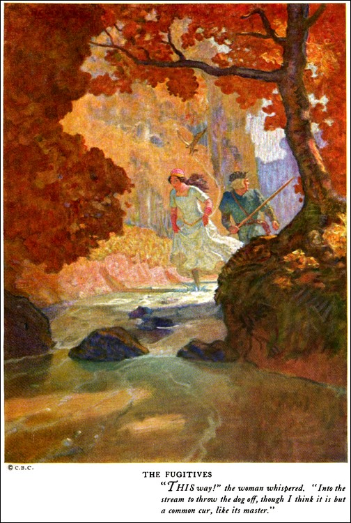Illustration