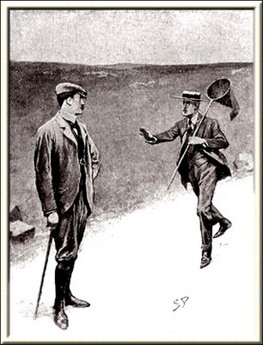 Illustration