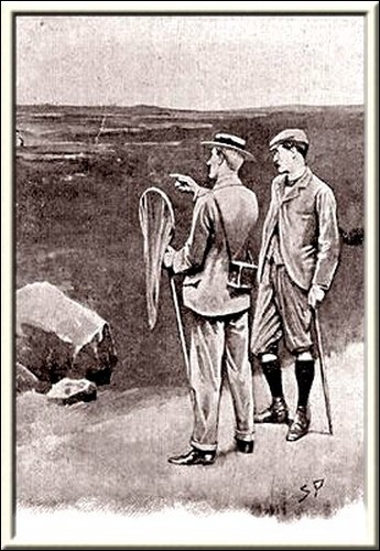 Illustration