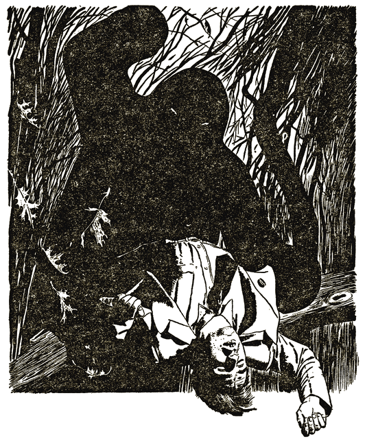 Illustration