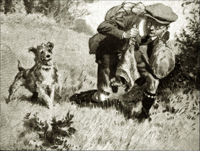 Illustration