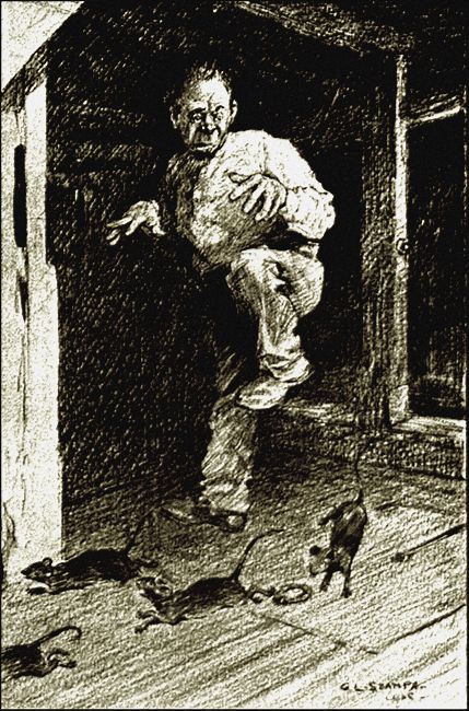 Illustration