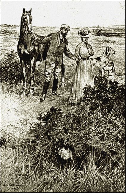 Illustration