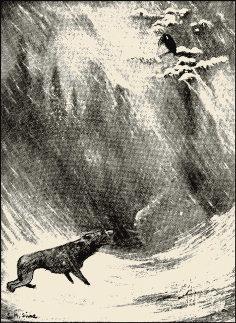 Illustration