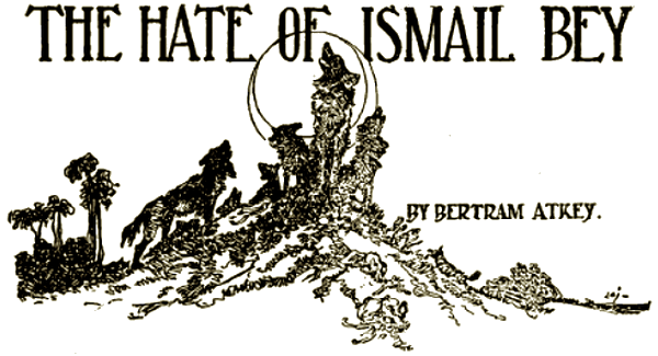 Illustration