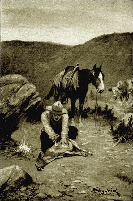 Illustration