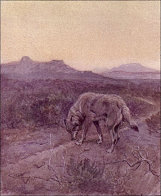 Illustration