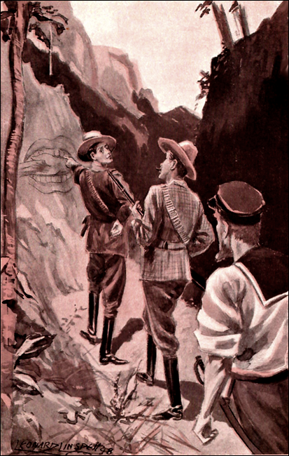 Illustration