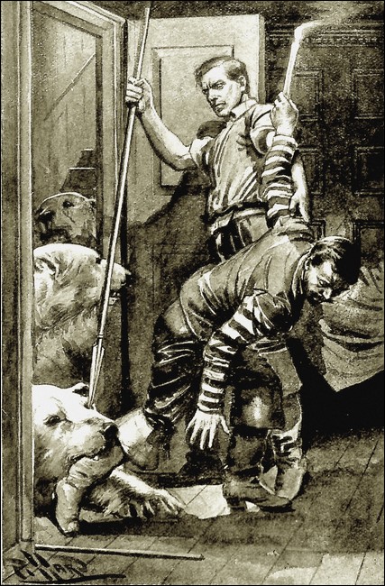 Illustration