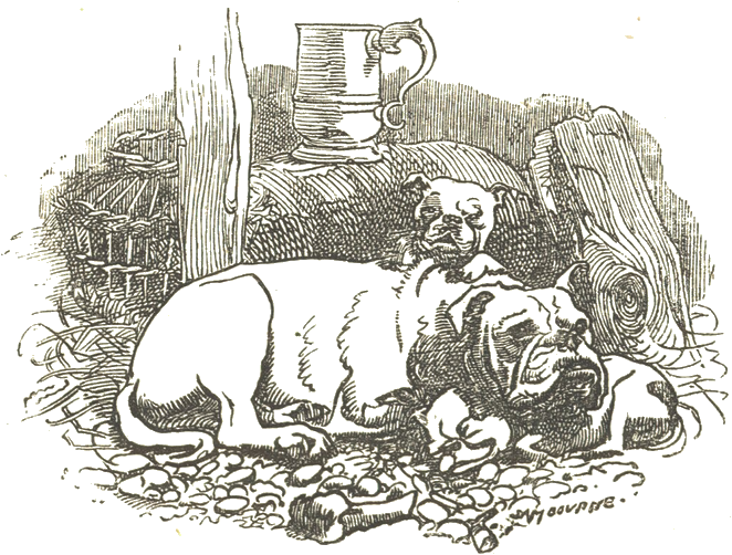Illustration