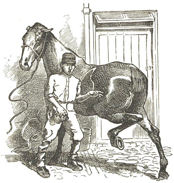 Illustration