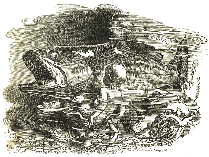 Illustration