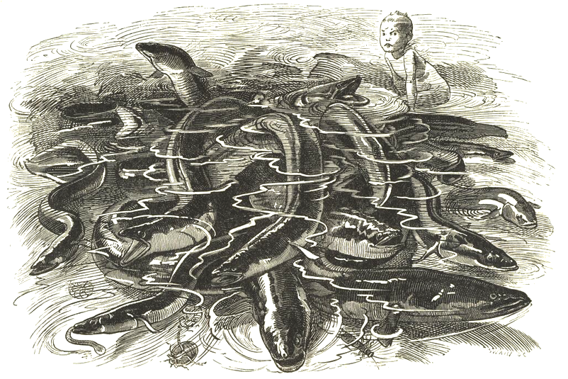 Illustration