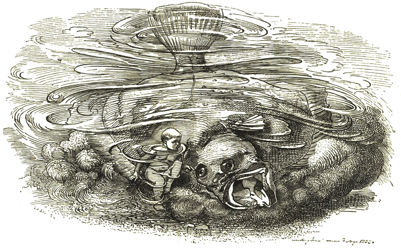 Illustration