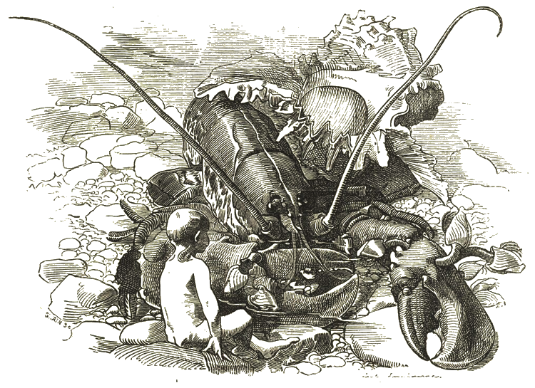 Illustration