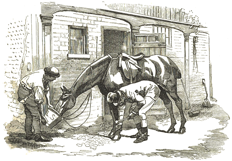 Illustration