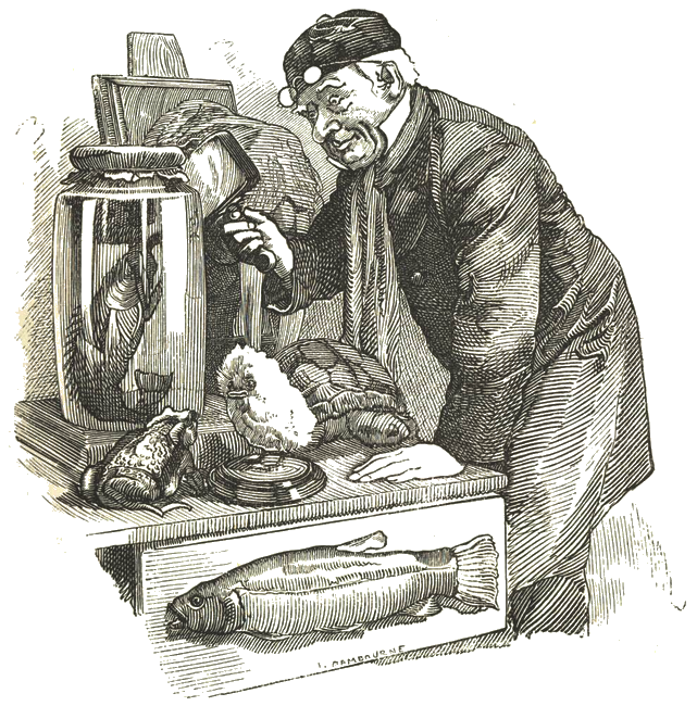 Illustration
