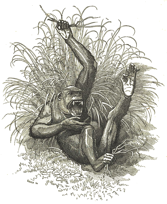 Illustration