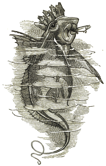 Illustration