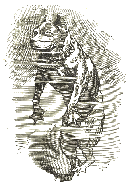 Illustration