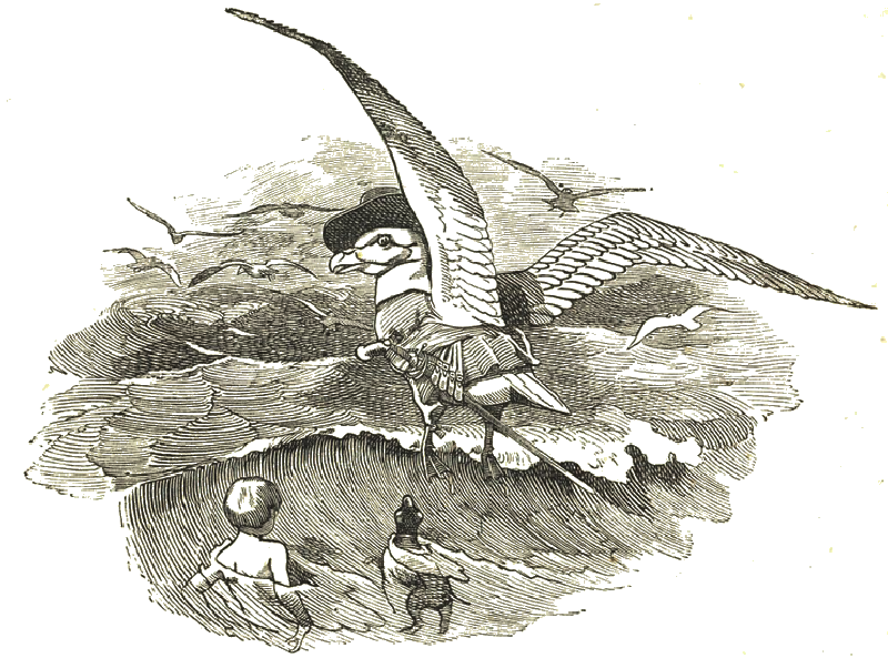 Illustration