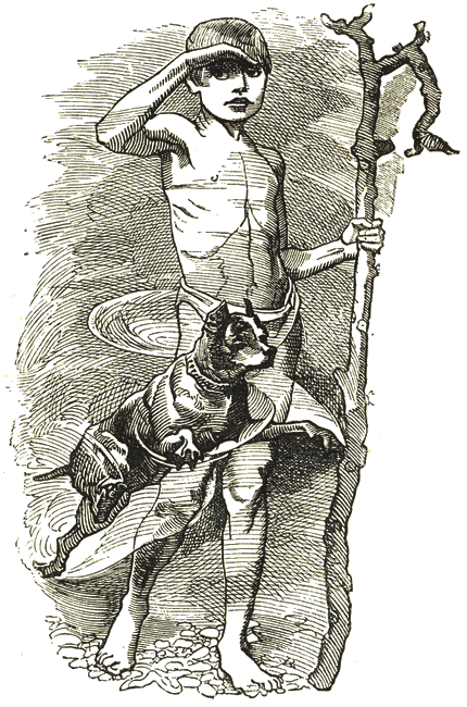Illustration
