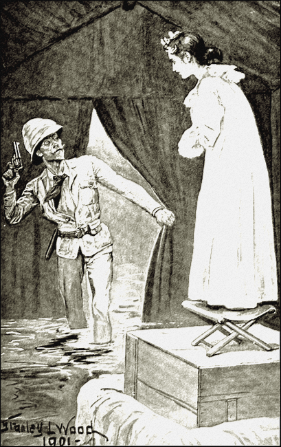 Illustration