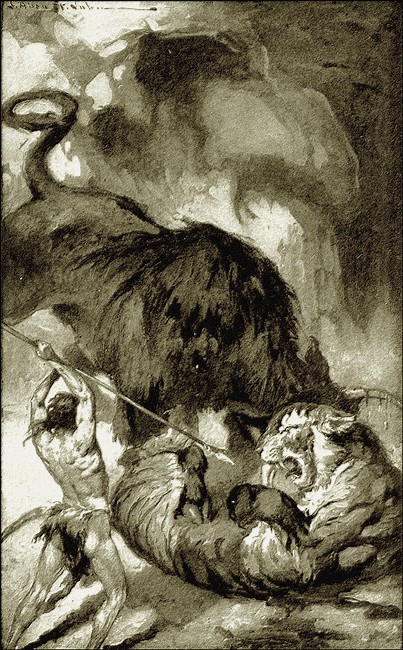 Illustration