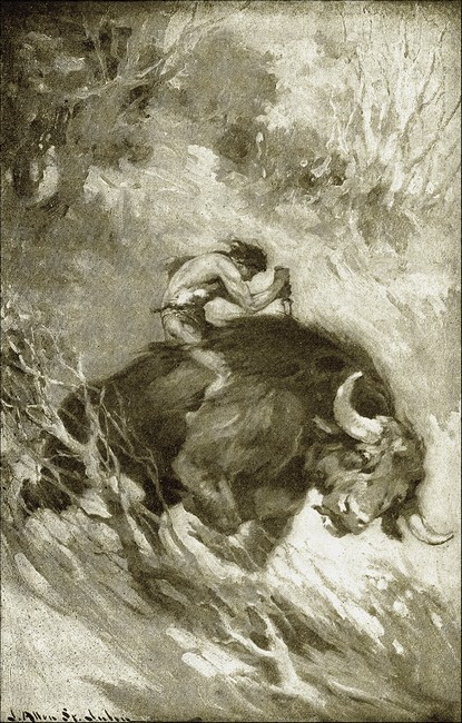 Illustration