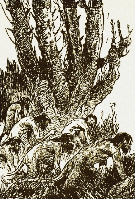 Illustration