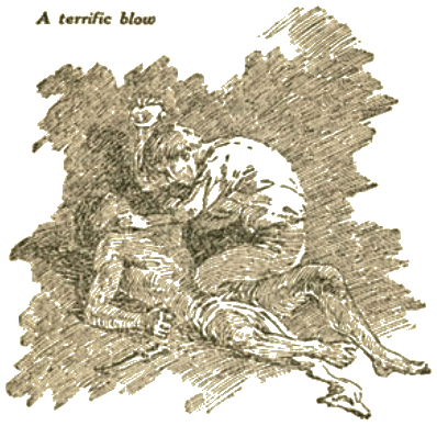 Illustration