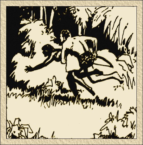 Illustration