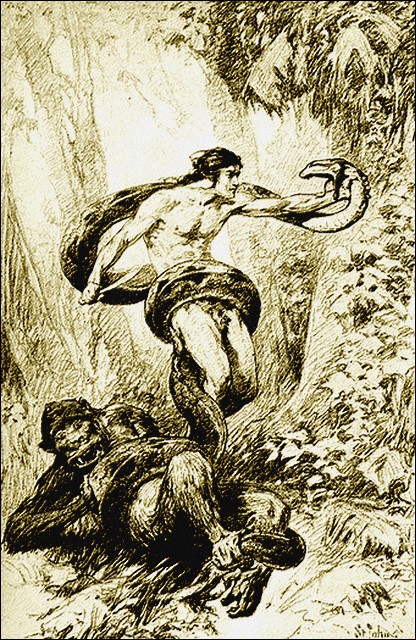 Illustration