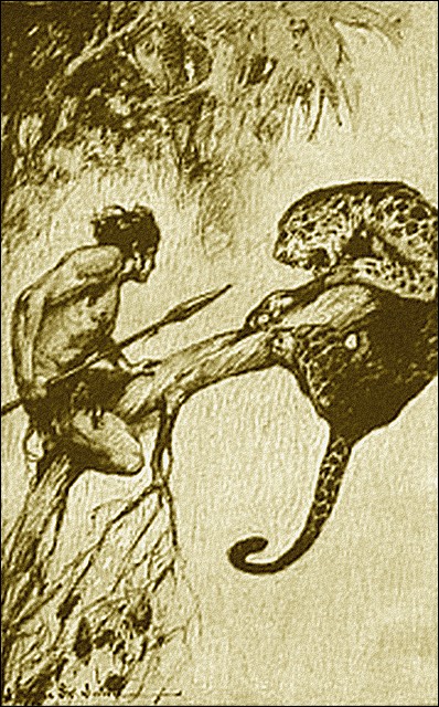 Illustration