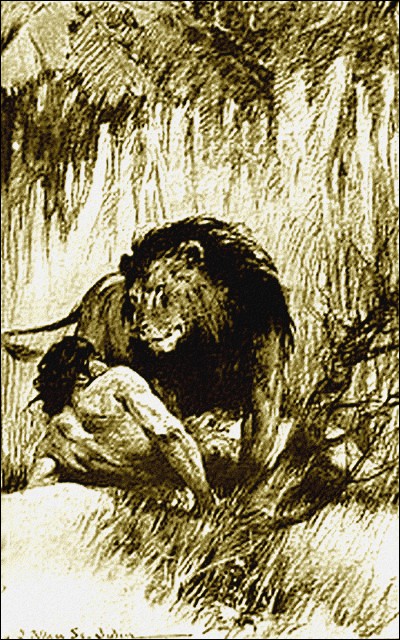 Illustration