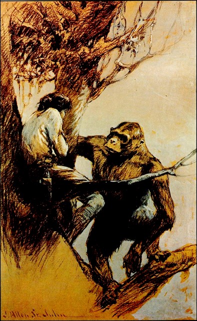 Illustration