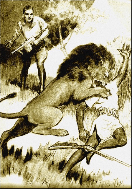 Illustration