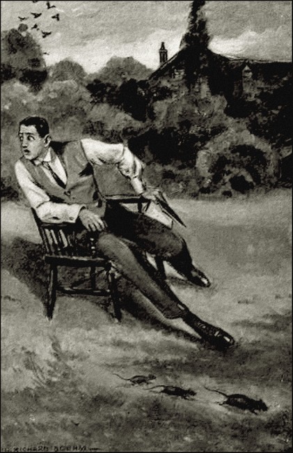 Illustration