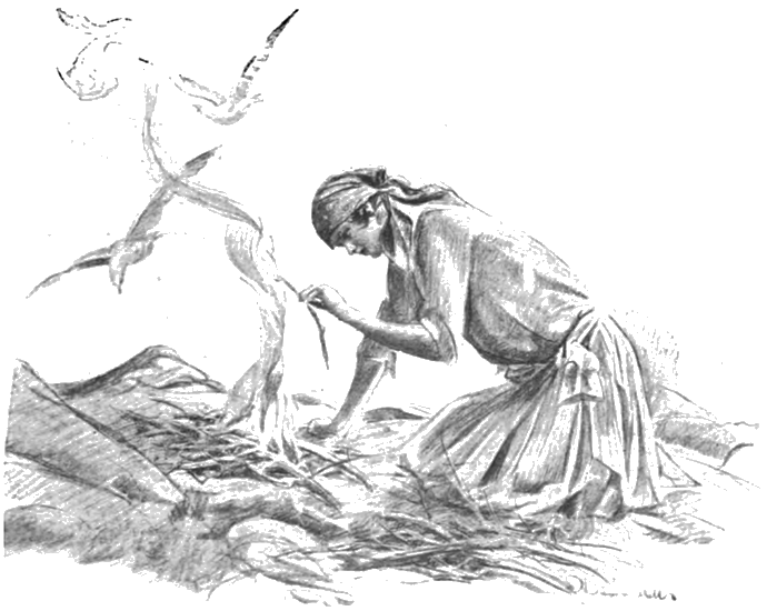 Illustration
