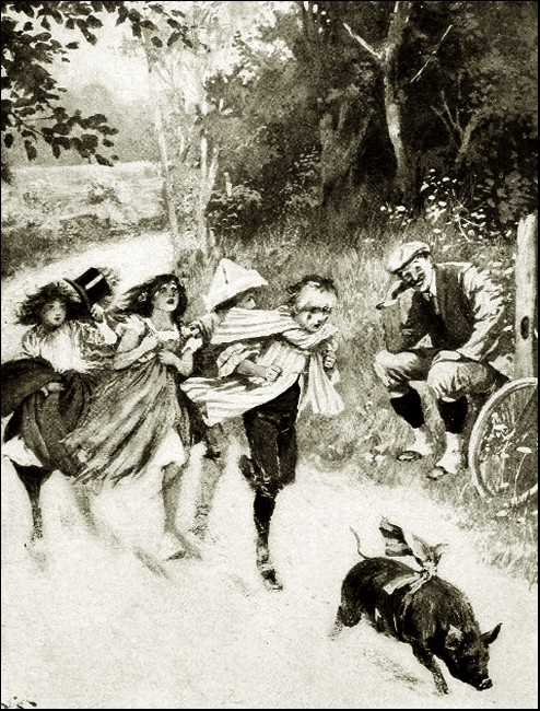 Illustration