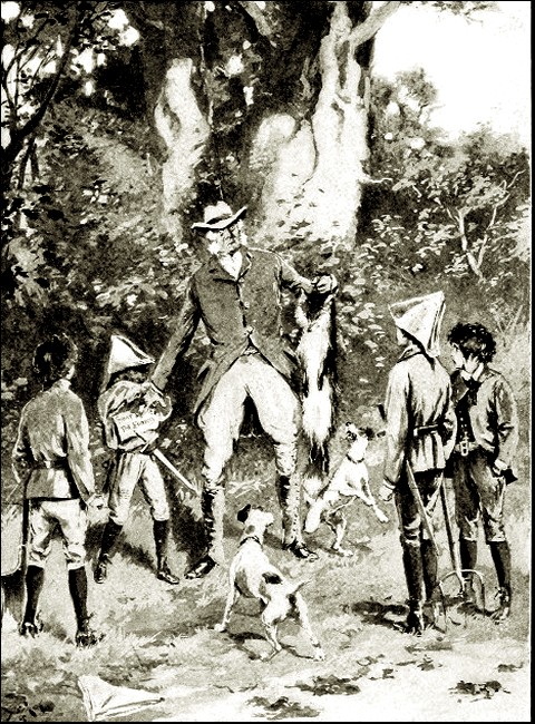 Illustration