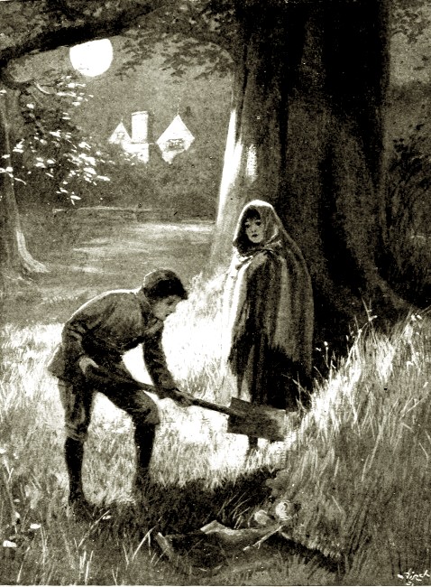 Illustration