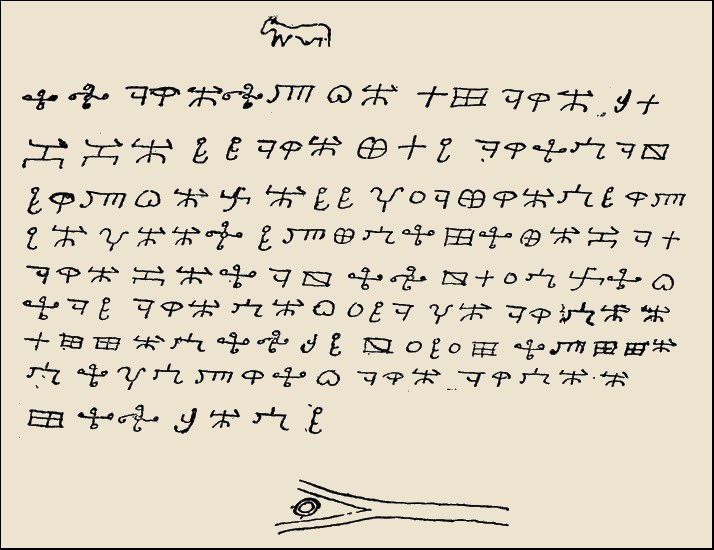 Illustration