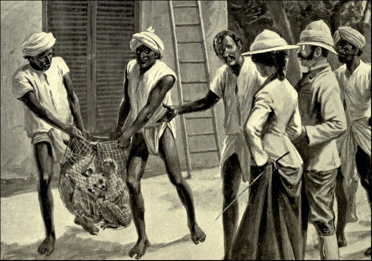 Illustration