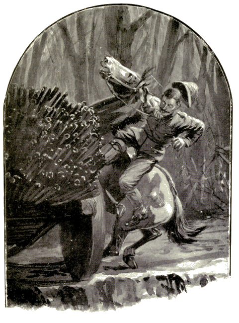 Illustration